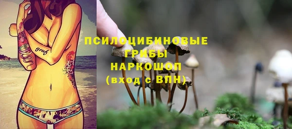 ГАЛЛЮЦИНОГЕННЫЕ ГРИБЫ Лиски