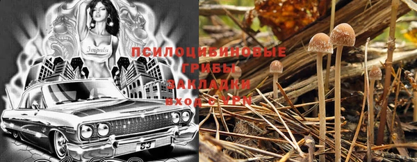 бошки Бугульма