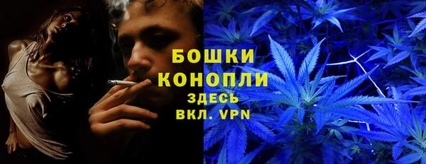 ГАЛЛЮЦИНОГЕННЫЕ ГРИБЫ Лиски