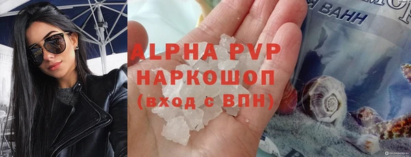 PSILOCYBIN Майский